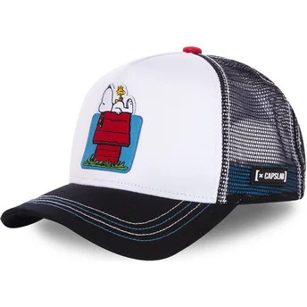 Snoopy and Woodstock