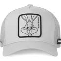trucker-bugs-bunny-loo4-bug1-looney-tunes-capslab