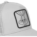 trucker-bugs-bunny-loo4-bug1-looney-tunes-capslab