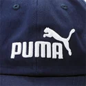 fundamentals-puma