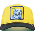 trucker-loyal-doggy-trip-the-farm-goorin-bros