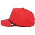 snapback-panther-100-the-farm-all-over-canvas-goorin-bros