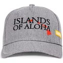 coastal-curved-brim-islands-of-aloha-grey-adjustable-cap