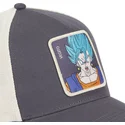 trucker-vegetto-super-saiyan-blue-fus-dragon-ball-capslab