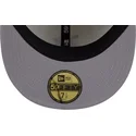 casquette-plate-beige-et-violette-ajustee-59fifty-clr-dvlp-detroit-tigers-mlb-new-era