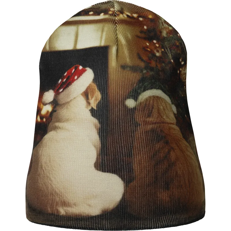 mehrfarbige-mutze-holiday-rev-buddy-black-von-kangol