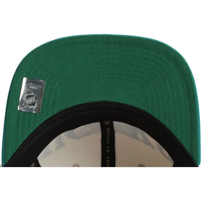 mitchell-ness-flat-brim-across-the-board-anaheim-ducks-nhl-green-and-beige-snapback-cap