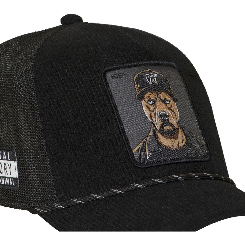 casquette-trucker-noire-bad-dog-hip-badb-hip-hop-dogz-capslab
