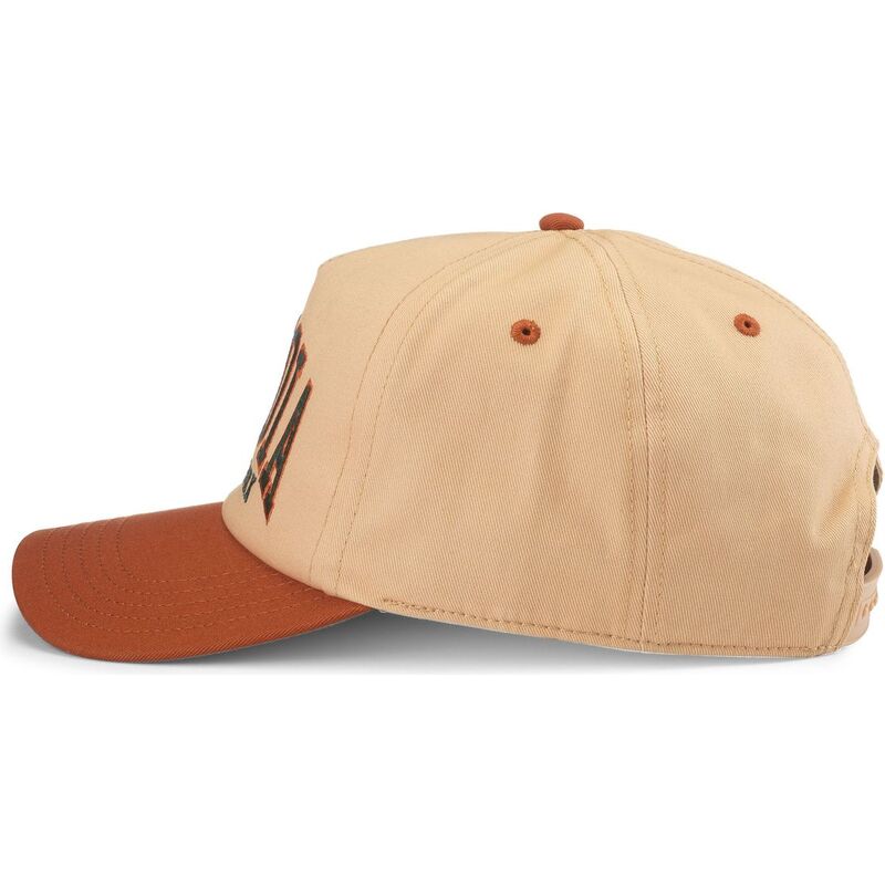 casquette-courbee-marron-snapback-roscoe-sequoia-national-park-american-needle