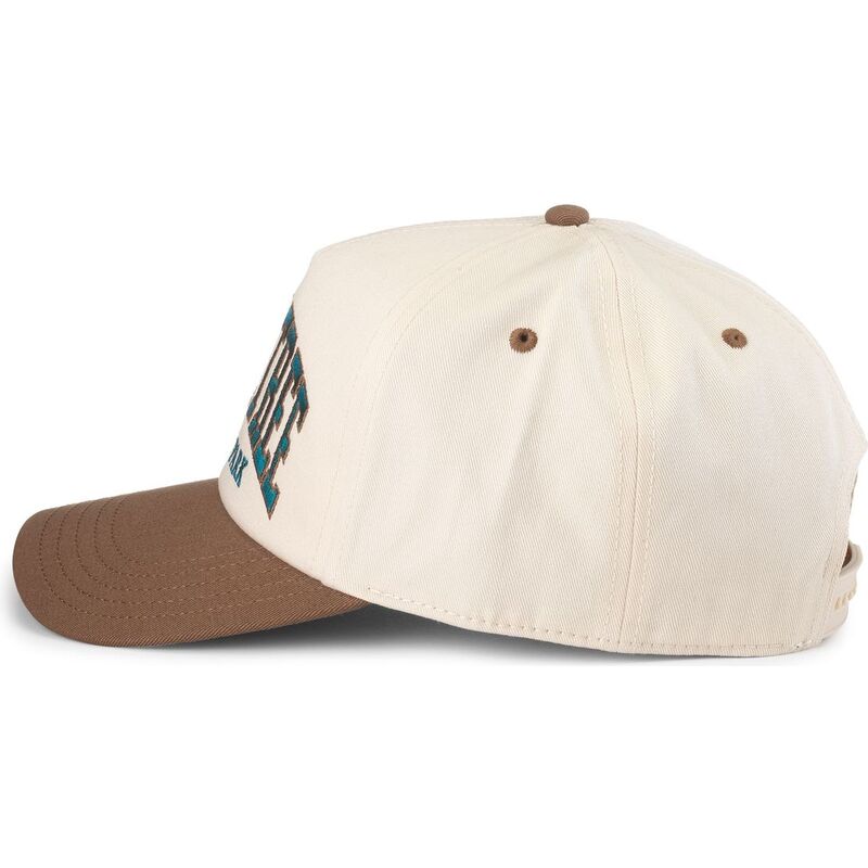 american-needle-curved-brim-roscoe-joshua-tree-national-park-brown-snapback-cap