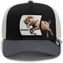 casquette-trucker-multicolore-chevre-banger-migration-the-farm-goorin-bros